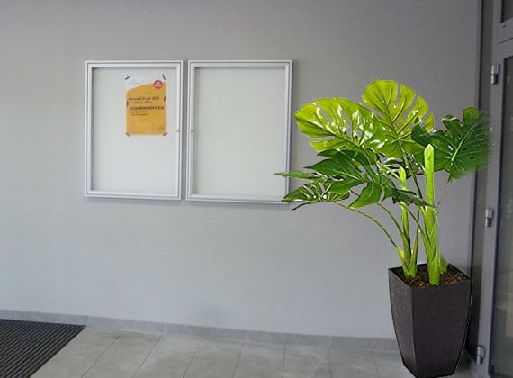 Vitrine d'affichage